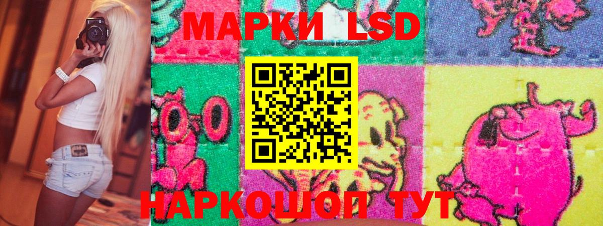 где продают наркотики  Марки N-bome 1,5мг  Вход с VPN  Омск 