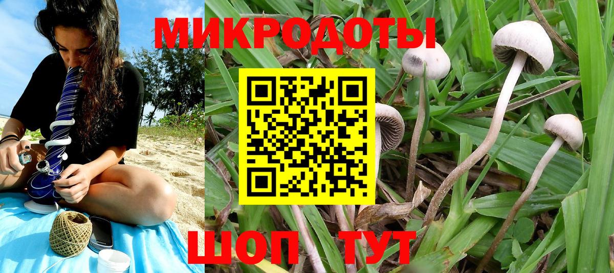 Галлюциногенные грибы Cubensis Омск