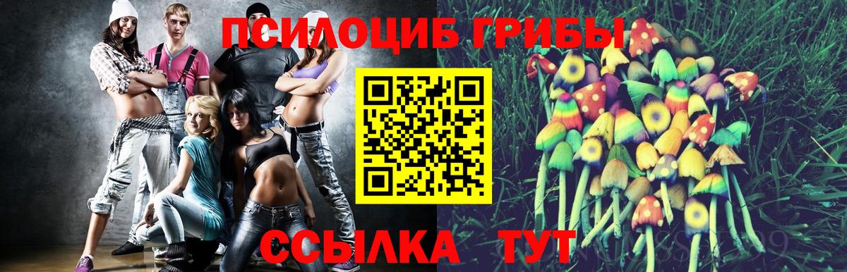Псилоцибиновые грибы мицелий  Вход с VPN  купить закладку  Омск 